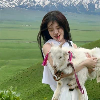 探长与海:在黑森林中独行